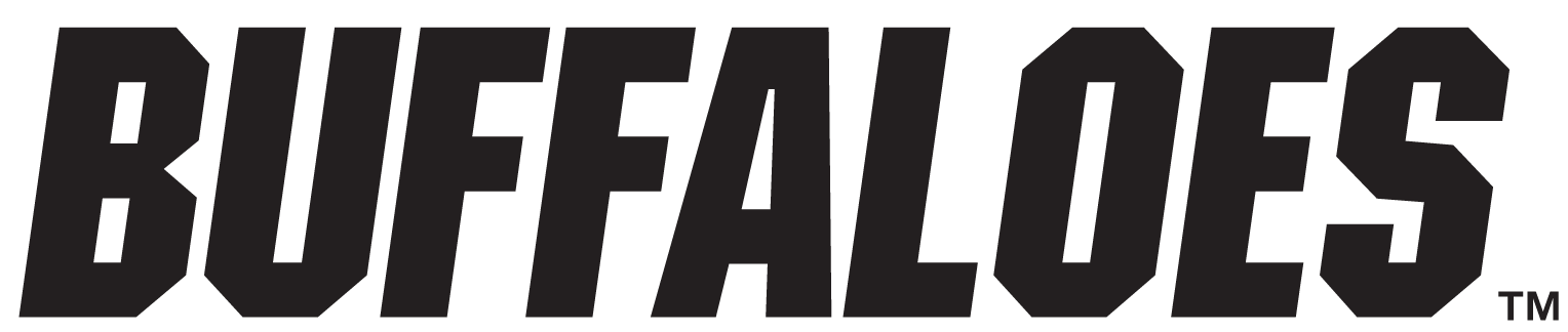 Colorado Buffaloes 2006-Pres Wordmark Logo v2 iron on transfers for T-shirts
